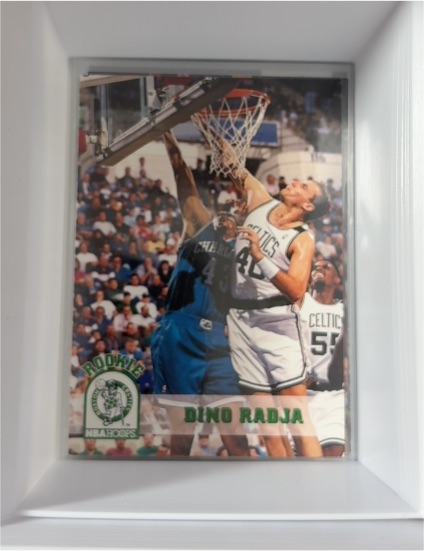 1993-94 NBA Hoops #306 Dino Radja — front