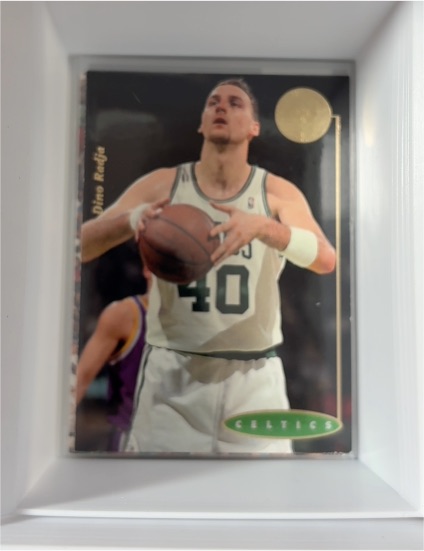1994-95 SP Championship Series #34 Dino Radja — front