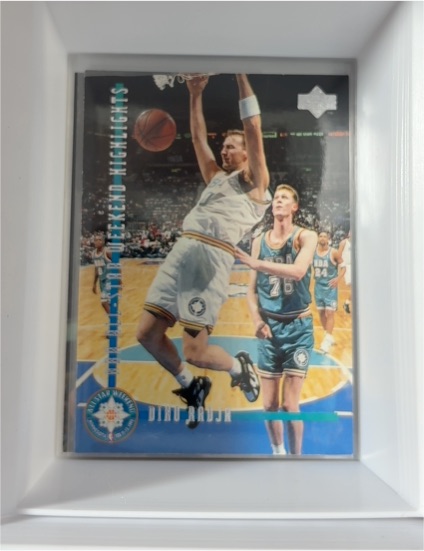 1993-94 Upper Deck Special Edition #195 Dino Radja Boston Celtics — front