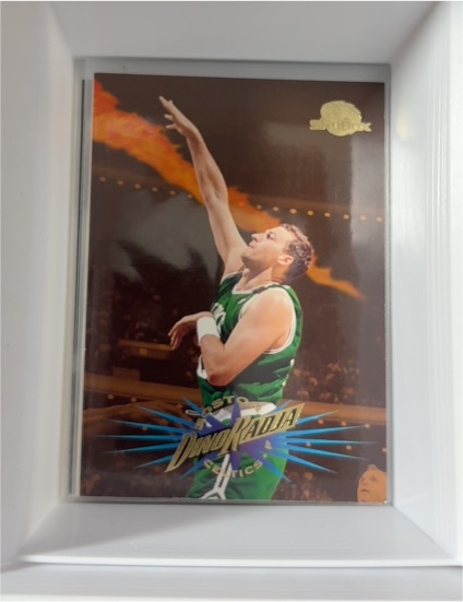 1995-96 Skybox Premium #8 Dino Radja — front