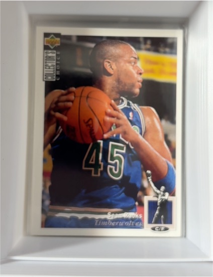 1994-95 Upper Deck Collector's Choice #276 Sean Rooks — front