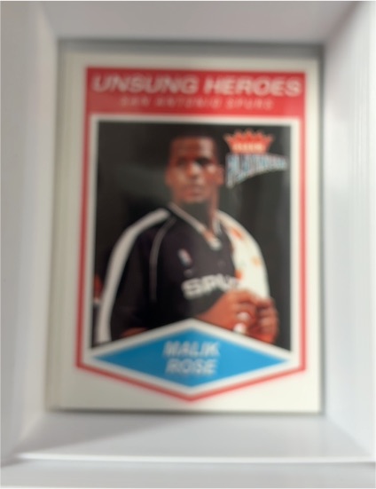 2003-04 Fleer Platinum #166 Malik Rose — front