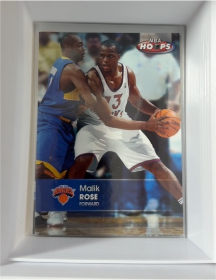 1996-97 NBA Hoops #310 Malik Rose — front