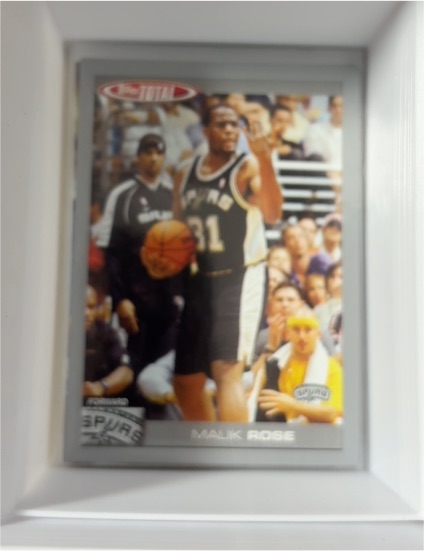 2004-05 Topps Total #233 Malik Rose — front