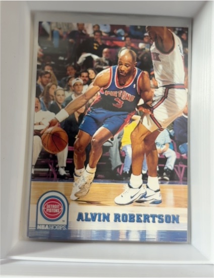 1993-94 NBA Hoops #65 Alvin Robertson — front