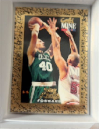 1994-95 NBA Hoops Gold Mine #432 Dino Radja — front
