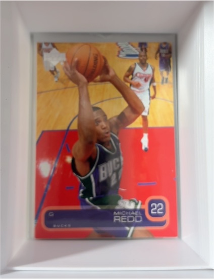 2004 Skybox #22 Michael Redd — front