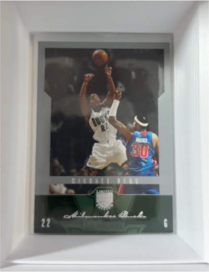 2004-05 Skybox LE #45 Michael Redd — front