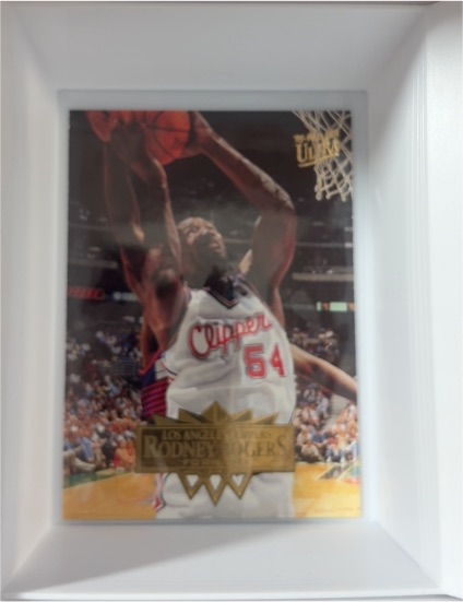 1995-96 Fleer Ultra #223 Rodney Rogers — front