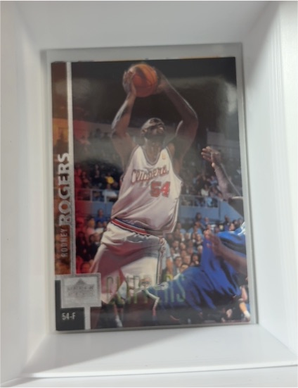 1995-96 Upper Deck #54-F Rodney Rogers — front