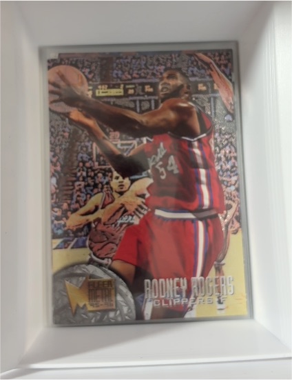 1995-96 Fleer Metal #159 Rodney Rogers — front