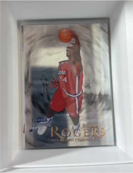 1998-99 Fleer Brilliants #84 Rodney Rogers — front
