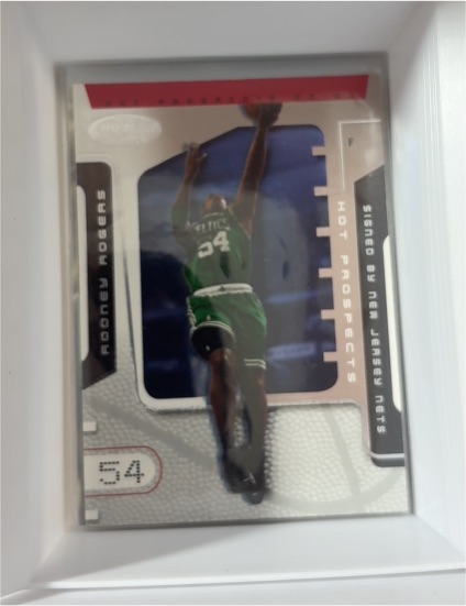 2002 Fleer Hot Prospects #54 Rodney Rogers — front