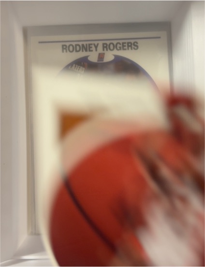 1993-94 Hoops #328 Rodney Rogers Rookie — front