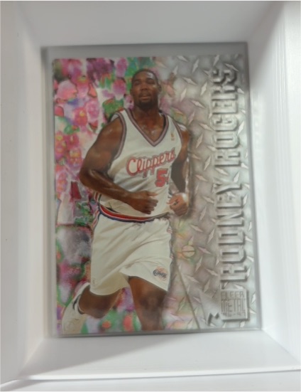 1996-97 Fleer Metal #179 Rodney Rogers — front