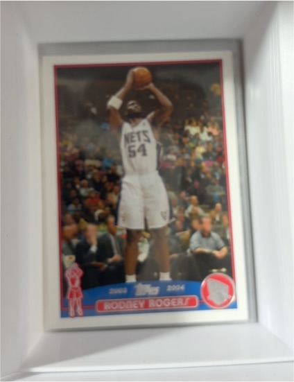 2003-04 Topps #173 Rodney Rogers — front