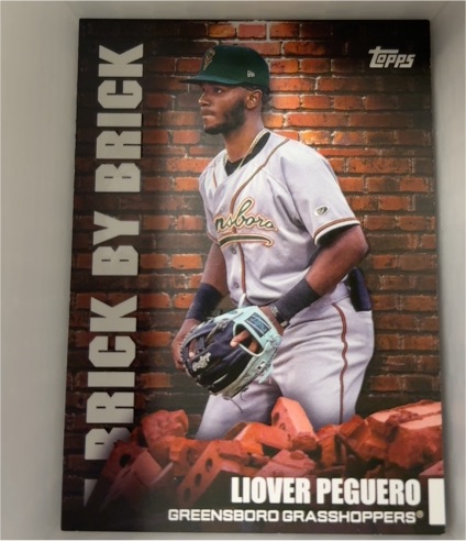 2022 Topps Pro Debut Brick by Brick #BB-19 Liover Peguero — front