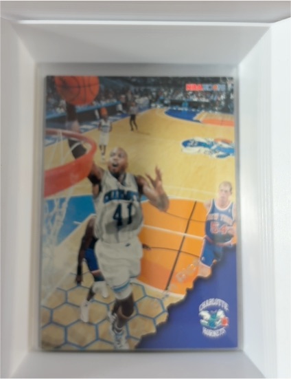 1996-97 NBA Hoops #18 Glen Rice — front