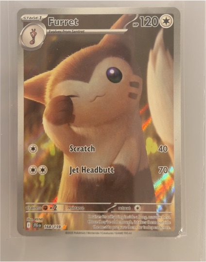 2025 Pokémon Journey Together #168 Furret — front