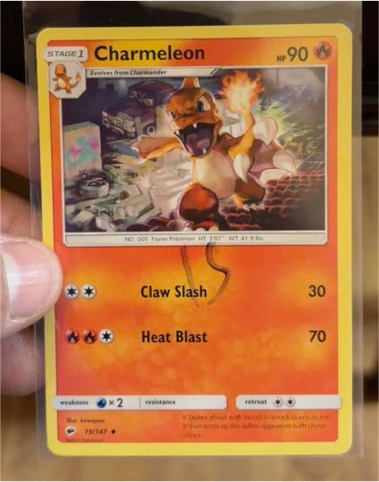 2017 Pokemon Sun & Moon Burning Shadows #19 Charmeleon — front