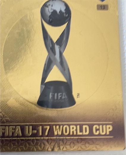 2017 Panini FIFA 365 #13 FIFA U-17 World Cup Gold — front