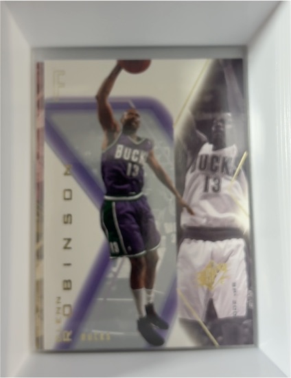2001-02 Upper Deck SPx #48 Glenn Robinson — front
