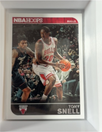 2014-15 Panini NBA Hoops #253 Tony Snell — front