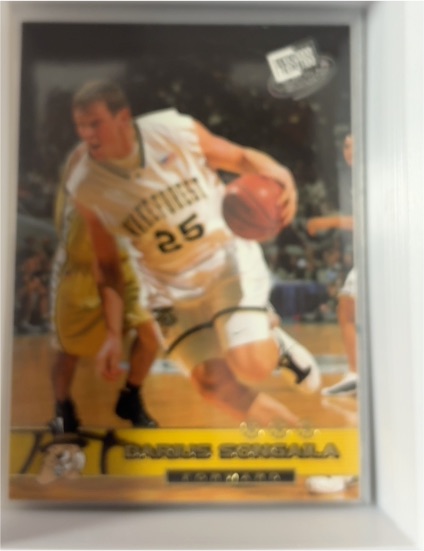 2002 Press Pass #25 Darius Songaila — front