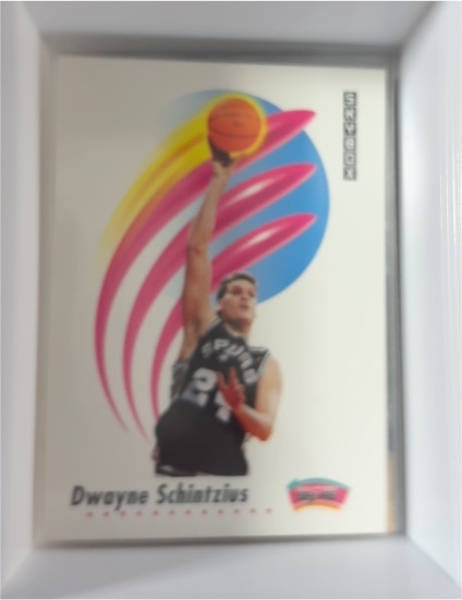 1991-92 Skybox #262 Dwayne Schintzius — front