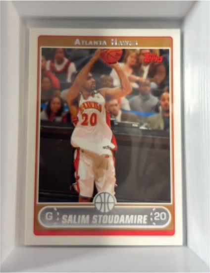 2006-07 Topps #204 Salim Stoudamire — front
