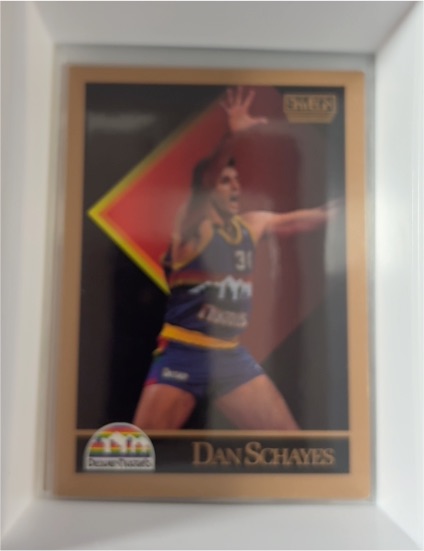 1990-91 SkyBox #81 Dan Schayes Denver Nuggets — front
