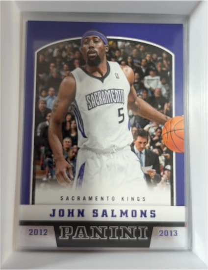 2012-13 Panini #84 John Salmons — front