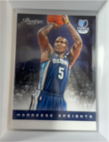 2012-13 Panini Prestige #124 Marreese Speights — front