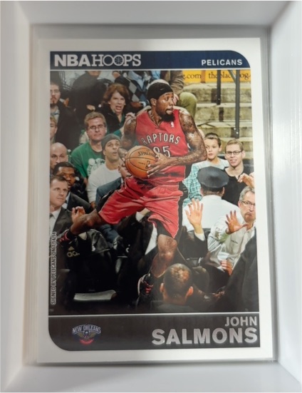 2014-15 Panini NBA Hoops #122 John Salmons — front