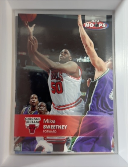 2004-05 NBA Hoops #87 Mike Sweetney — front