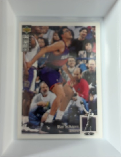 1994-95 Upper Deck Collector's Choice #363 Dan Schayes — front