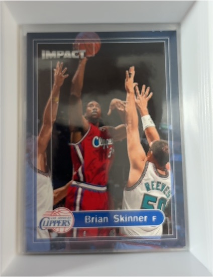 1999-00 SkyBox Impact #176 Brian Skinner — front