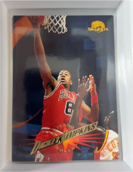 1995-96 SkyBox Premium #160 Dickey Simpkins — front