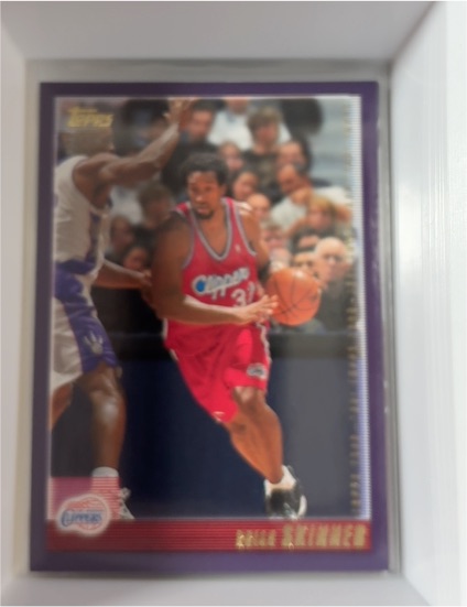 2000-01 Topps #243 Brian Skinner — front