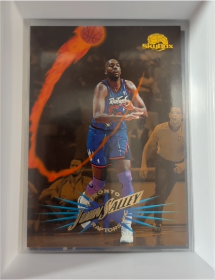 1995-96 SkyBox Premium #208 John Salley — front