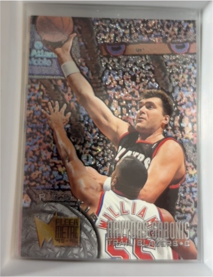 1995-96 Fleer Metal #184 Arvydas Sabonis — front