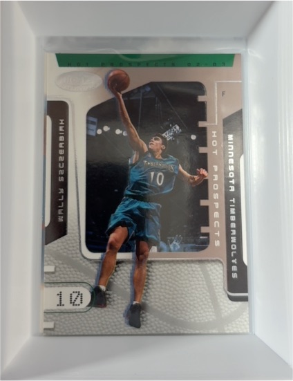2002-03 Hoops Hot Prospects #9 Wally Szczerbiak — front