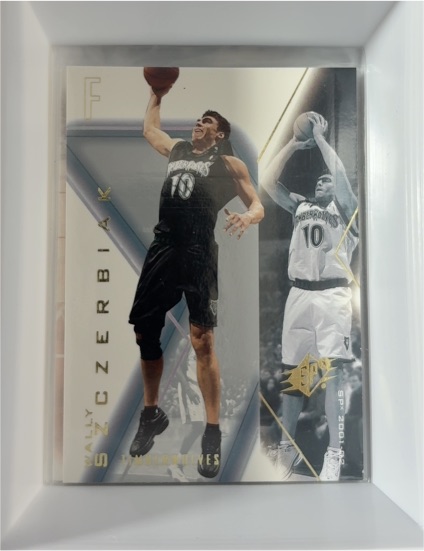 2001-02 SPx #52 Wally Szczerbiak — front