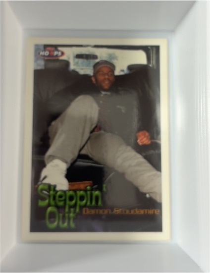 1998-99 SkyBox NBA Hoops Steppin' Out #158 Damon Stoudamire — front