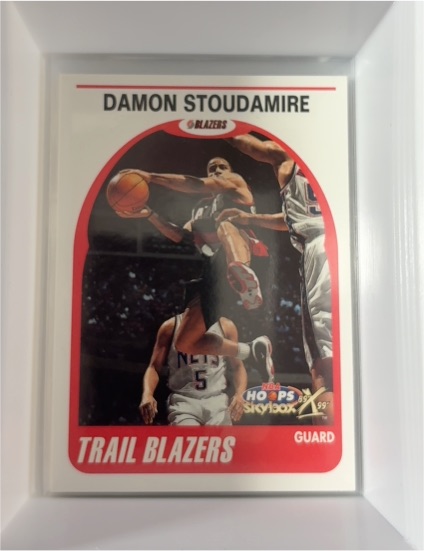 1999-00 Skybox NBA Hoops Decade #41 Damon Stoudamire — front