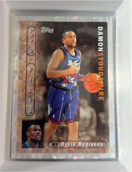 1996-97 Topps Pro Files #PF-10 Damon Stoudamire — front