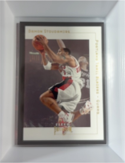 2001-02 Fleer Premium #90 Damon Stoudamire — front