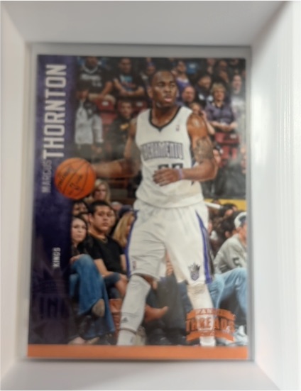 2012-13 Panini Threads #124 Marcus Thornton — front