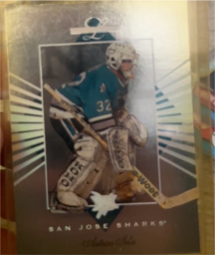 1994-95 Leaf Limited #74 Arturs Irbe — front