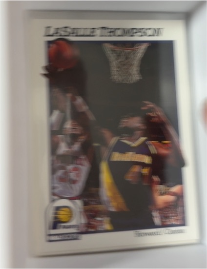 1990 NBA Hoops 8x10 Photo LaSalle Thompson Indiana Pacers — front